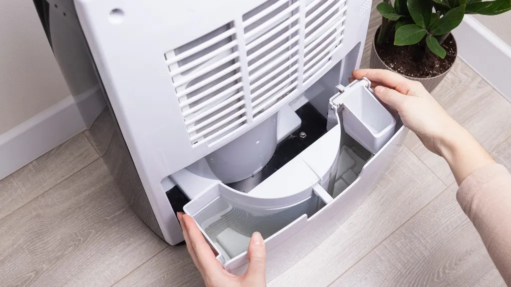 Hands removing water collection tray from white dehumidifier on wooden floor near potted plant.